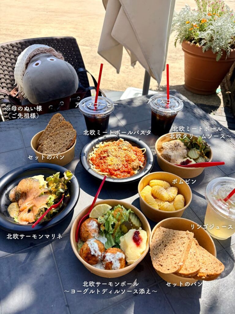 埼玉県飯能市にあるメッツァビレッジのMarkethall1階の、北欧ミートボール専門店『toroli』の料理画像（2026年5月撮影）