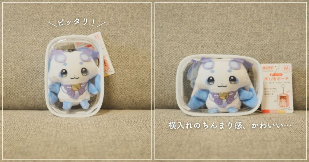 ルンルンのにじぱぺっとがSeriaで購入したポーチに入っている画像